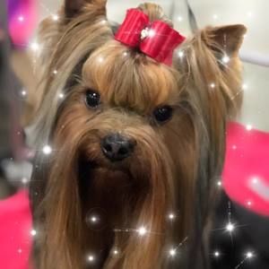 Meet your Posher, Cheryl